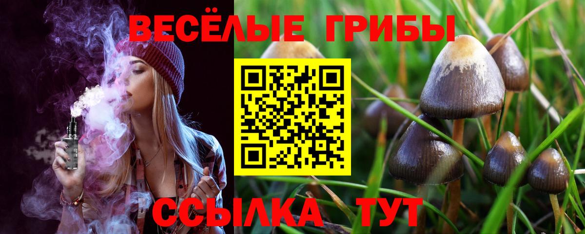 Псилоцибиновые грибы Psilocybe Юрга